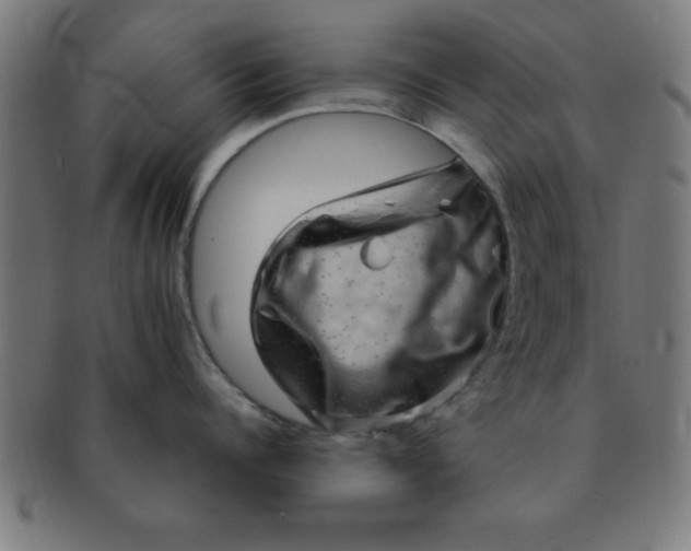 X0000091350960200708241244