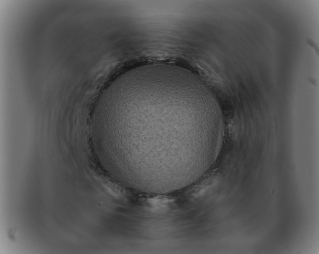 X0000091350961200708241243