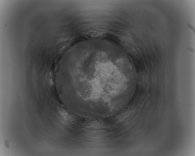 X0000091350962200708241243