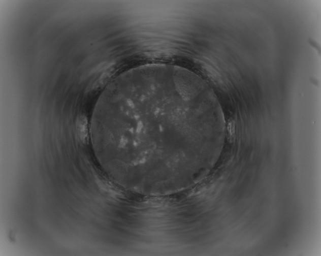 X0000091350963200708241243