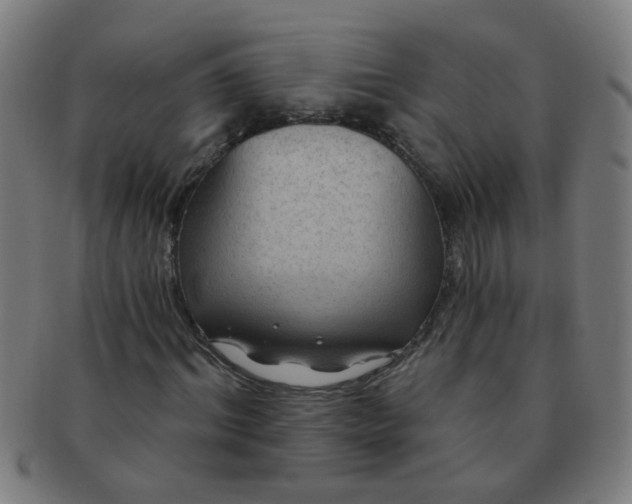 X0000091350964200708241243