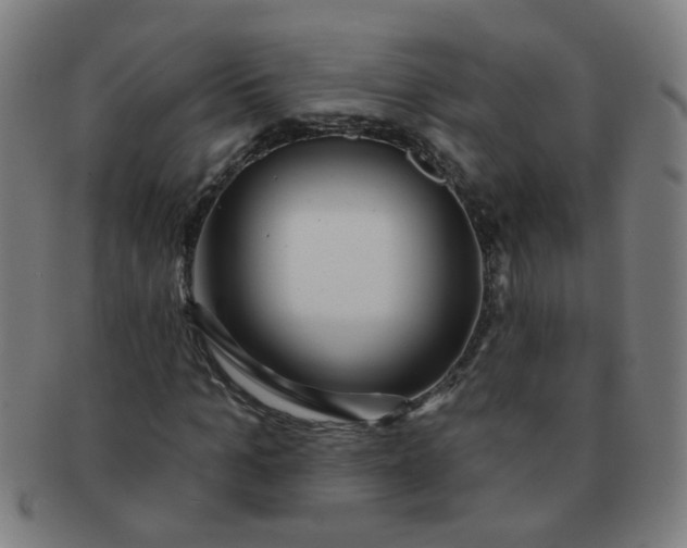 X0000091350965200708241243