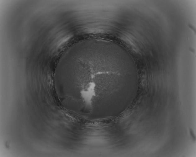 X0000091350966200708241243