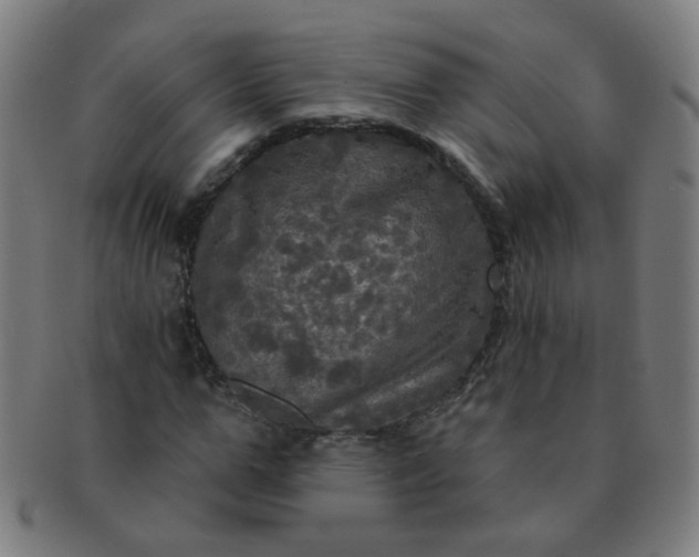 X0000091350967200708241243