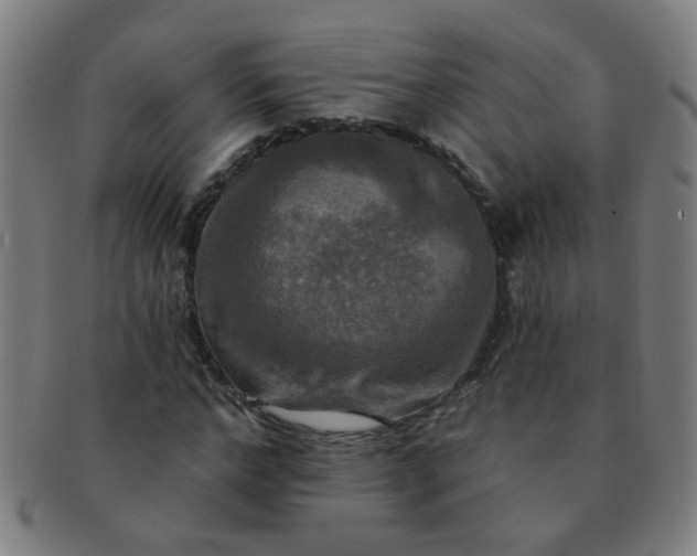 X0000091350968200708241243