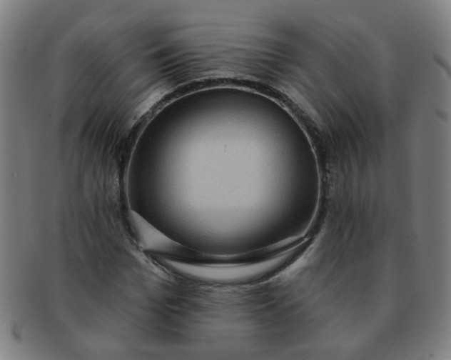 X0000091350969200708241243