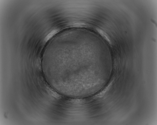 X0000091350970200708241243