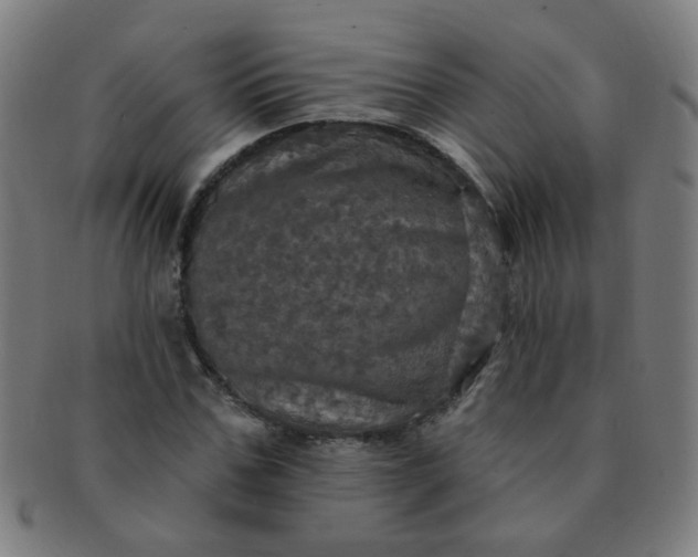 X0000091350971200708241243