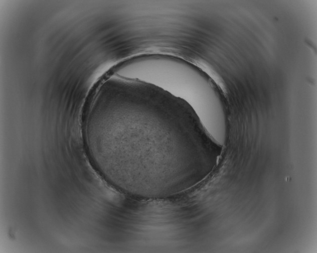 X0000091350972200708241243