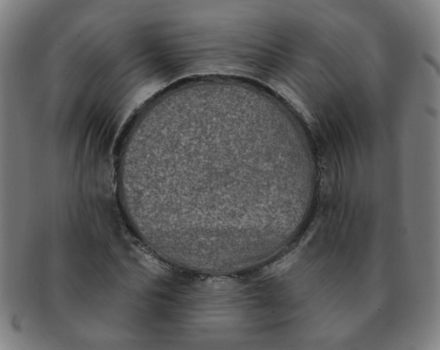 X0000091350974200708241243