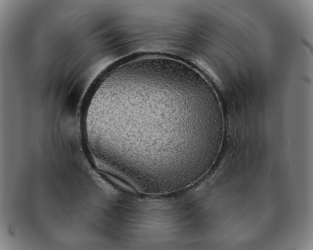 X0000091350976200708241242