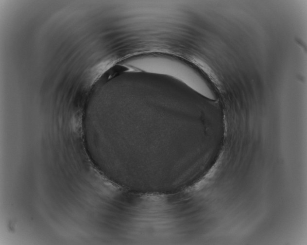 X0000091350977200708241242