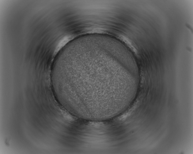 X0000091350978200708241242