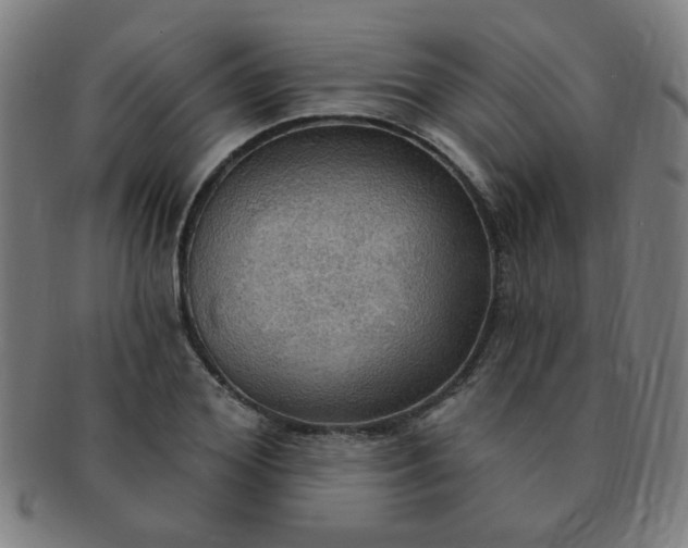 X0000091350980200708241242
