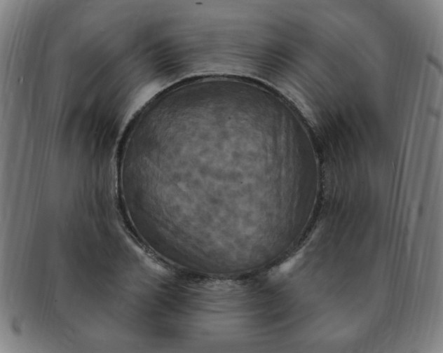 X0000091350982200708241242