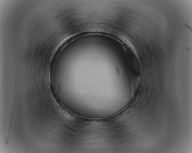 X0000091350984200708241242