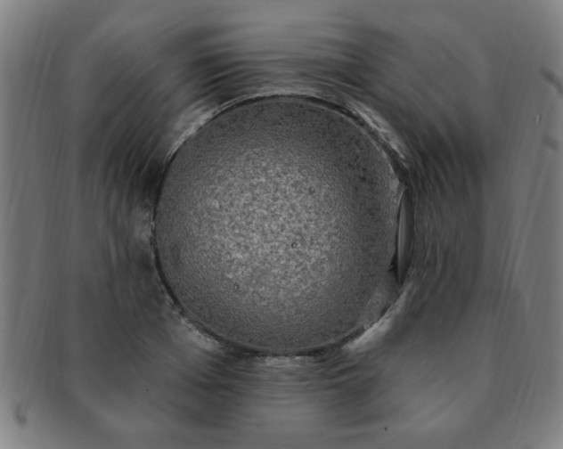X0000091350985200708241242