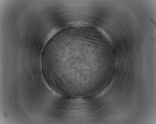 X0000091350986200708241242