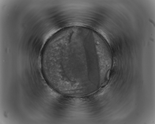 X0000091350987200708241242