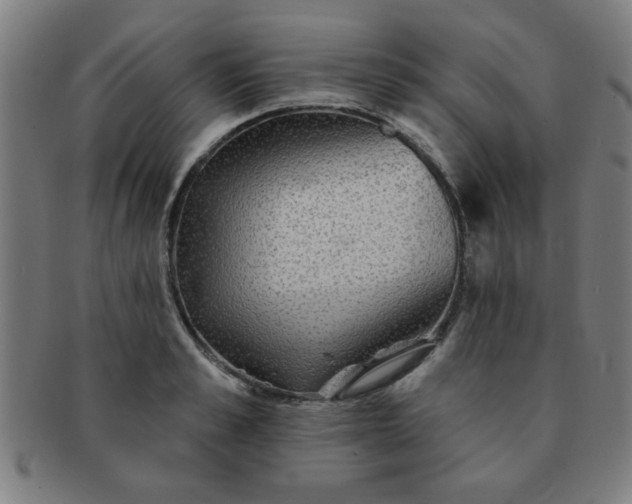 X0000091350989200708241242
