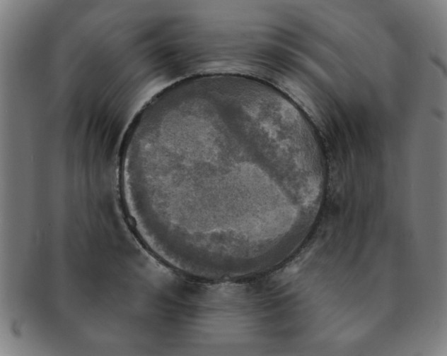 X0000091350992200708241242