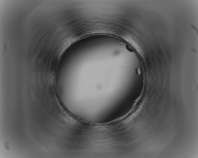 X0000091350993200708241242