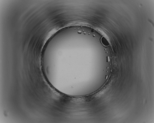 X0000091350997200708241242