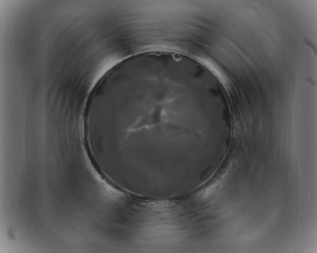 X0000091350999200708241242