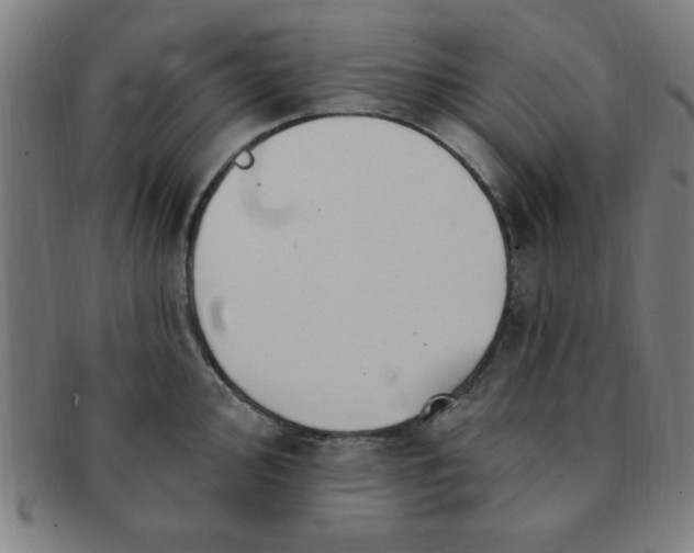 X0000091351000200708241242