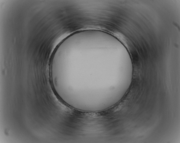 X0000091351003200708241242