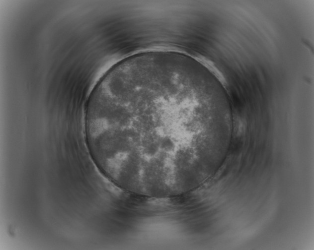 X0000091351006200708241242