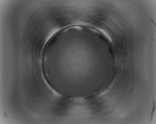 X0000091351007200708241242