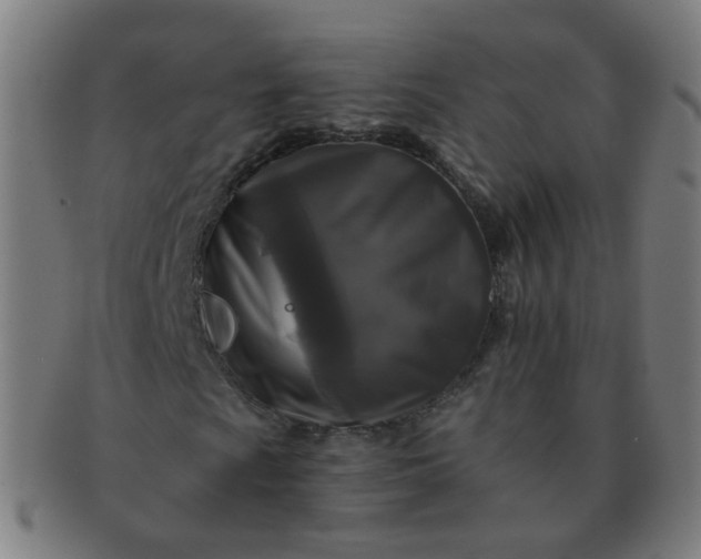 X0000091351009200708241241