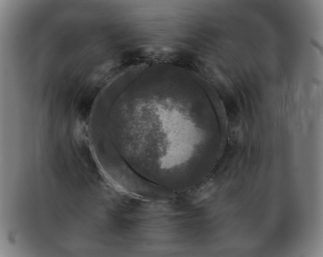 X0000091351010200708241241