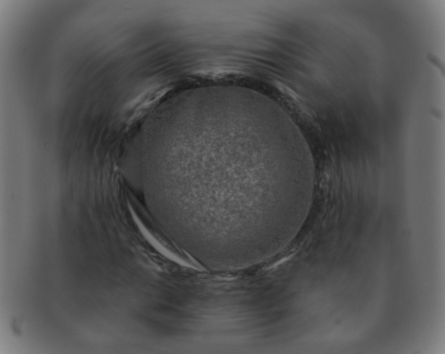 X0000091351014200708241241