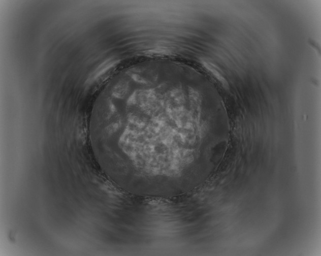 X0000091351015200708241241
