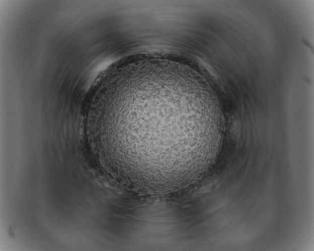 X0000091351016200708241241