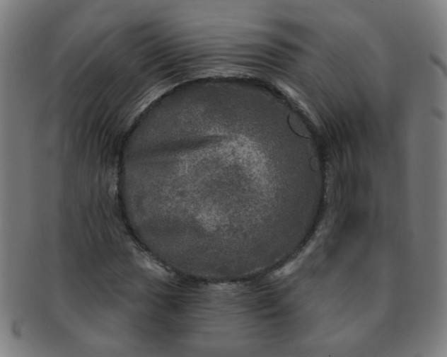 X0000091351017200708241241
