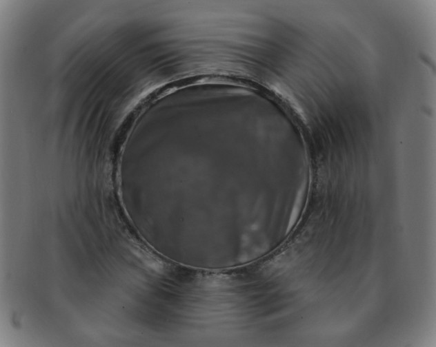 X0000091351019200708241242