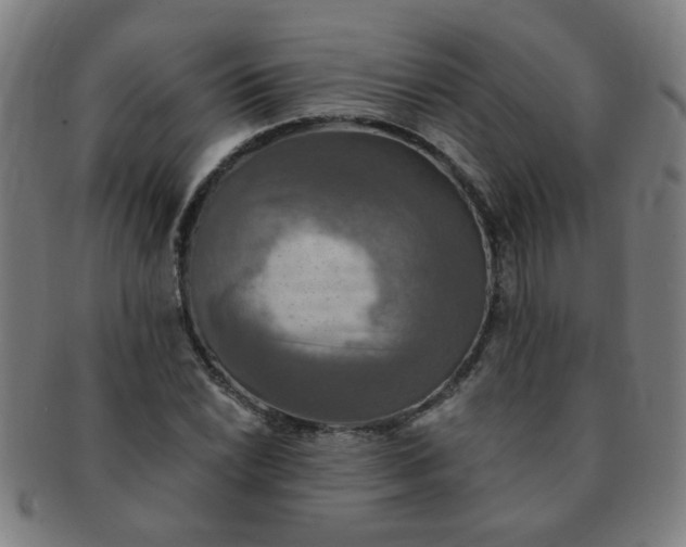 X0000091351022200708241242