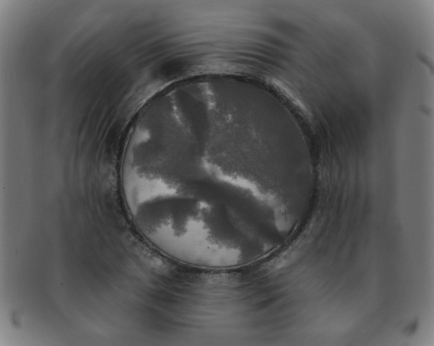 X0000091351025200708241242