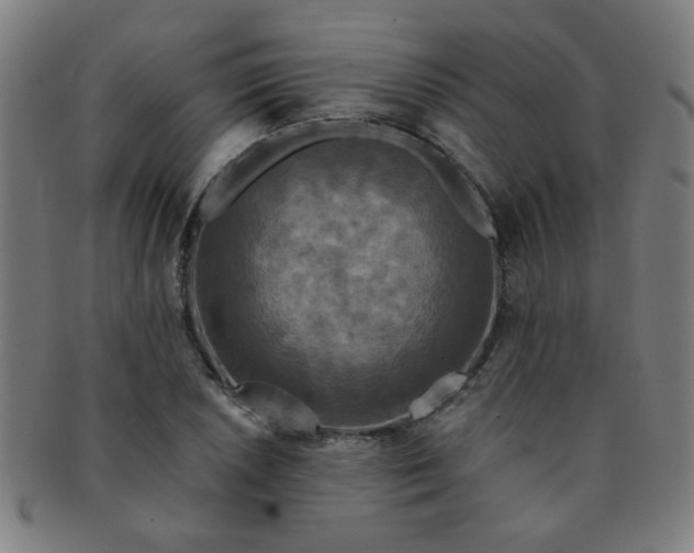 X0000091351026200708241242