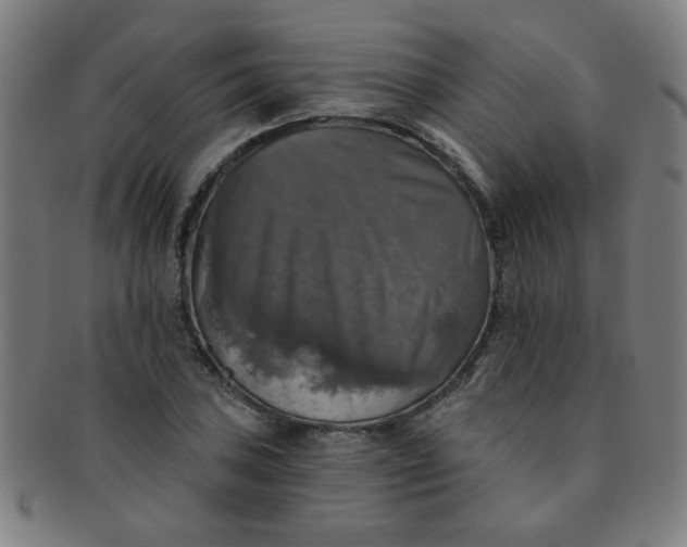 X0000091351027200708241242