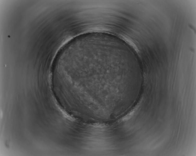 X0000091351029200708241242