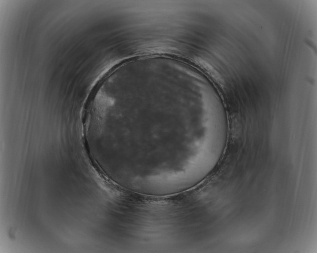 X0000091351031200708241242