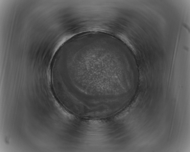 X0000091351032200708241242