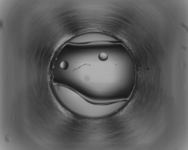 X0000091351034200708241242