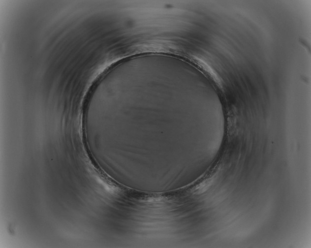 X0000091351035200708241242