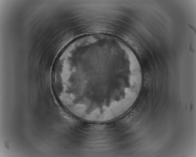 X0000091351039200708241242
