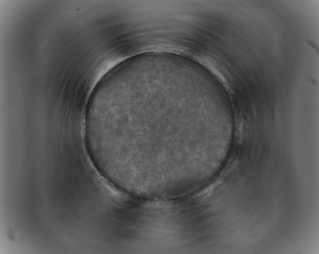 X0000091351040200708241242